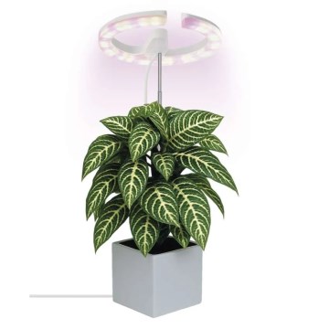 Dimbare LED-lamp voor binnenkweek van planten GROW LED/8W/5V