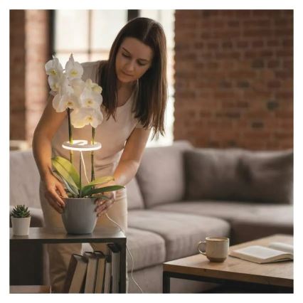 Dimbare LED-lamp voor binnenkweek van planten GROW LED/8W/5V