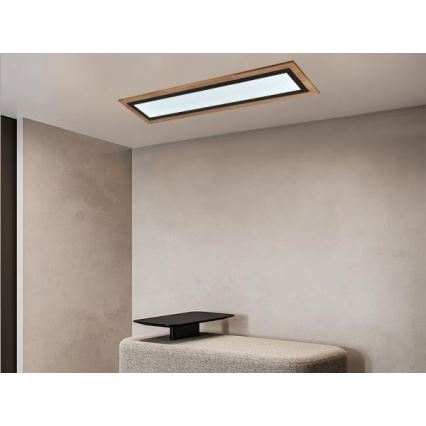 Dimbare LED-plafondlamp 55W/230V 3000-6500K + afstandsbediening