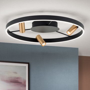 Dimbare LED Plafondlamp BERLIN LED/50W/230V zwart/goud