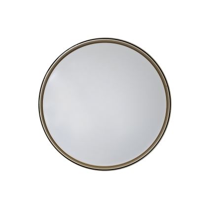 Dimbare LED plafondlamp EBRO LED/36W/230V 2700-6500K diameter 50 cm + afstandsbediening