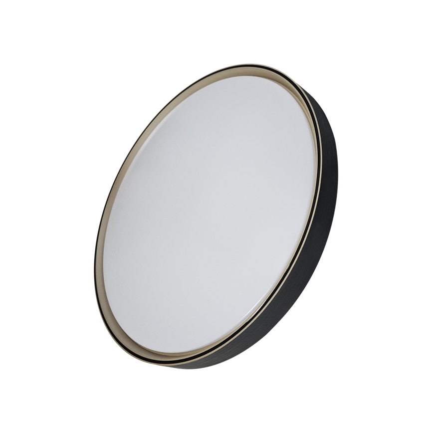 Dimbare LED plafondlamp EBRO LED/36W/230V 2700-6500K diameter 50 cm + afstandsbediening