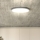 Dimbare LED plafondlamp ESTELA LED/36W/230V diameter 30 cm wit + afstandsbediening