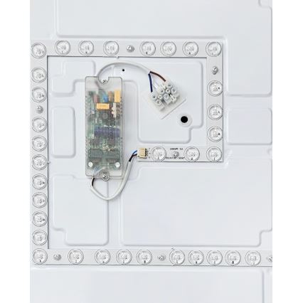 Dimbare LED plafondlamp FLORA LED/60W/230V 2700-6500K 53x53 cm + afstandsbediening