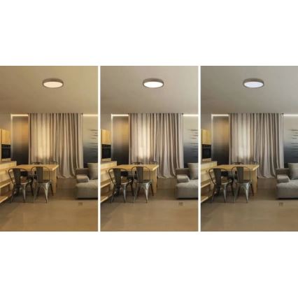 LED-dimbare plafondlamp ILVI LED/30W/230V 2700-6500K Ø 40 cm houtdecor + afstandsbediening