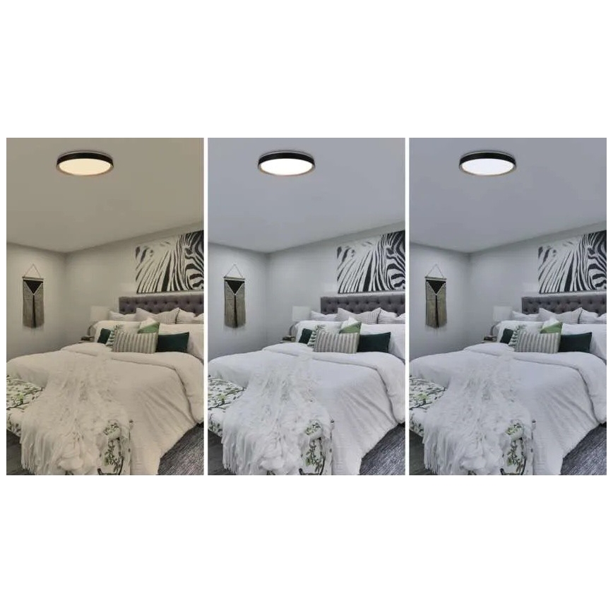 LED dimbare plafondlamp ILVI LED/45W/230V 2700-6500K Ø 50 cm zwart/beige + afstandsbediening