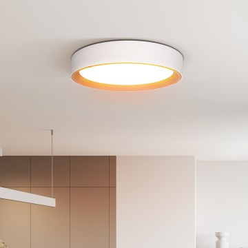 Dimbare LED plafondlamp LARIOS LED/48W/230V 3000-6500K diameter 39 cm wit + afstandsbediening