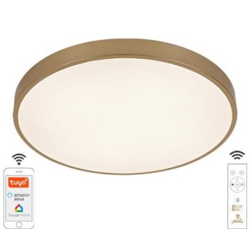 Dimbare LED plafondlamp LED/48W/230V 2700-6500K Wi-Fi Tuya + afstandsbediening