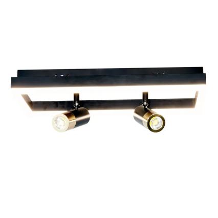 Dimbare LED Plafondlamp LED/50W/230V 3000-6500K zwart + afstandsbediening