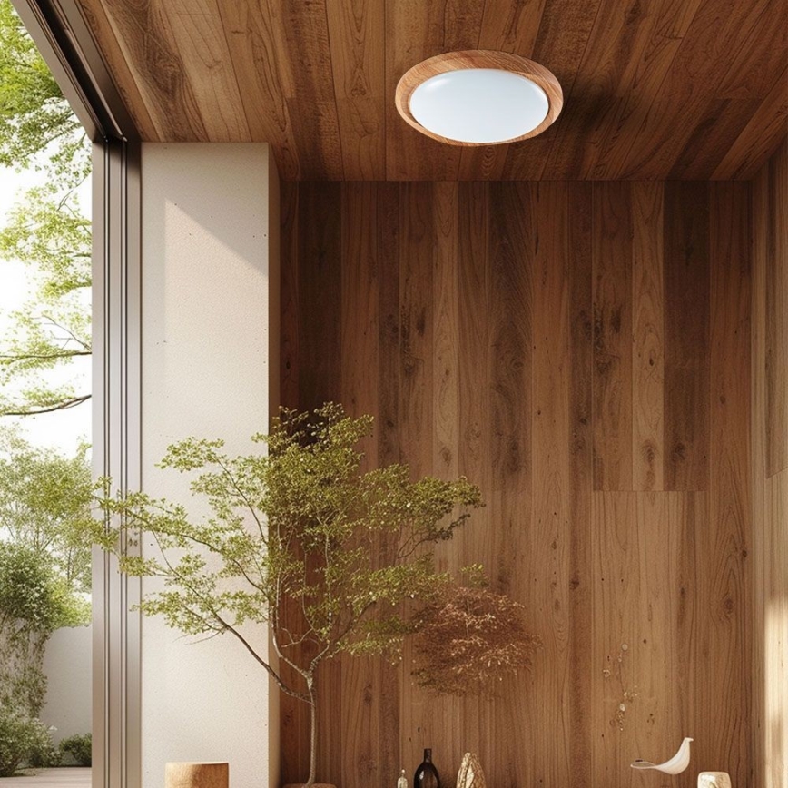 Dimbare LED plafondlamp LED/60W/230V 3000-6500K + afstandsbediening