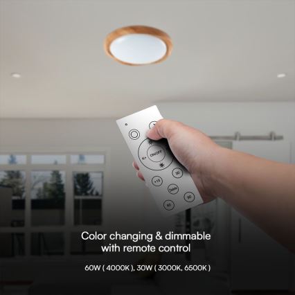Dimbare LED plafondlamp LED/60W/230V 3000-6500K + afstandsbediening