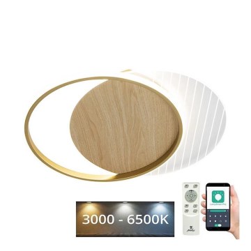 Dimbare LED plafondlamp LED/60W/230V 3000-6500K + afstandsbediening