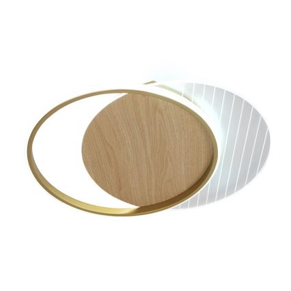 Dimbare LED plafondlamp LED/60W/230V 3000-6500K + afstandsbediening