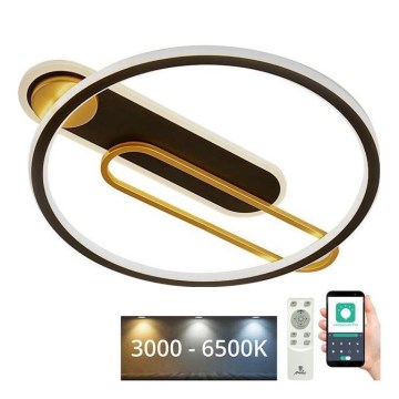 Dimbare LED Plafondlamp LED/60W/230V 3000-6500K zwart + afstandsbediening