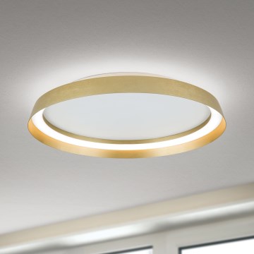 Dimbare LED Plafondlamp MANTA LED/38W/230V 2700/3000/4000K diameter 45 cm goud