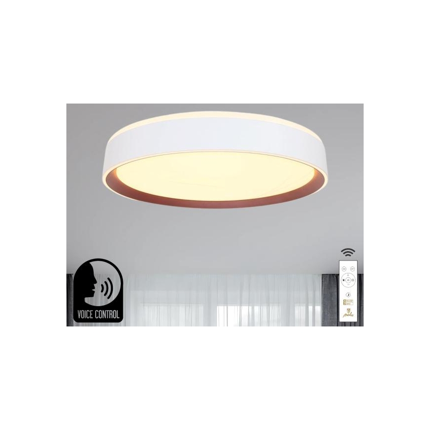Dimbare LED plafondlamp met spraakbesturing OPAL LED/48W/230V 2700-6500K wit + afstandsbediening