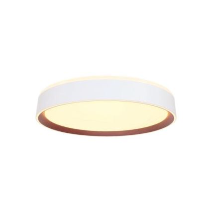 Dimbare LED plafondlamp met spraakbesturing OPAL LED/48W/230V 2700-6500K wit + afstandsbediening