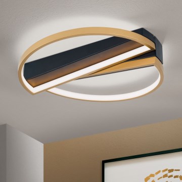 Dimbare LED Plafondlamp OLGA LED/28W/230V goud/zwart