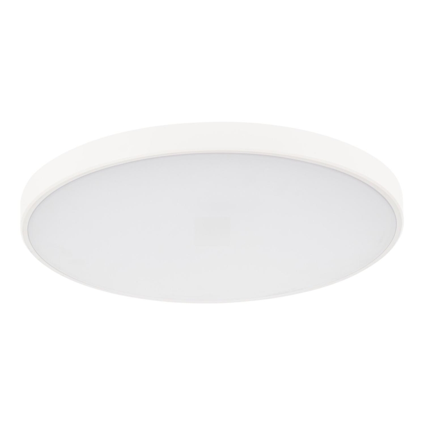 Dimbare LED plafondlamp PLAFON LED/20W/230V 3000-6500K Wi-Fi wit