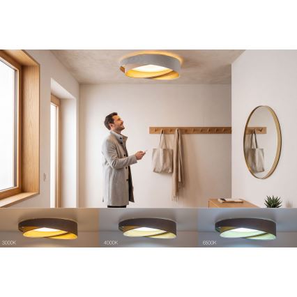 Dimbare LED-plafondlamp SMART GALAXY MODERN LED/24W/230V 3000-6500K Ø 55 cm grijs/beige/goud + afstandsbediening