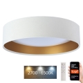 Dimbare LED Plafondlamp SMART GALAXY LED/36W/230V d. 55 cm 2700-6500K Wi-Fi Tuya wit/goud + afstandsbediening