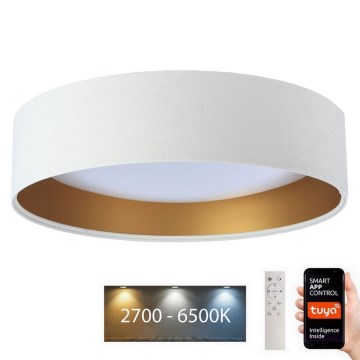 Dimbare LED Plafondlamp SMART GALAXY LED/36W/230V d. 55 cm 2700-6500K Wi-Fi Tuya wit/goud + afstandsbediening