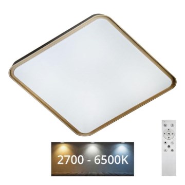 Dimbare LED plafondlamp UNA LED/60W/230V 2700-6500K 50x50 cm + afstandsbediening