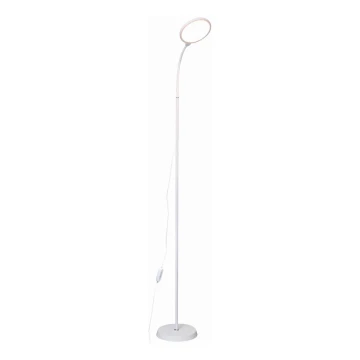 Dimbare LED Staande lamp 2in1 LED/10W/230V wit
