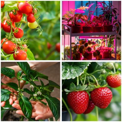 LED Dimbaar flexibel Staande lamp voor het kweken van planten VITARO 4xLED/7,5W/230V zwart