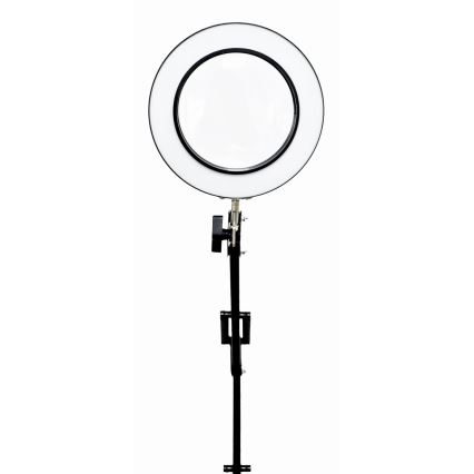 Dimbare LED tafellamp met een vergrootglas ​ LED/10W/230V 3000/4500/6000K