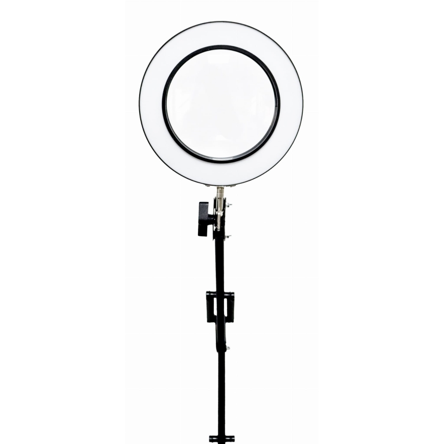 Dimbare LED tafellamp met een vergrootglas ​ LED/10W/230V 3000/4500/6000K