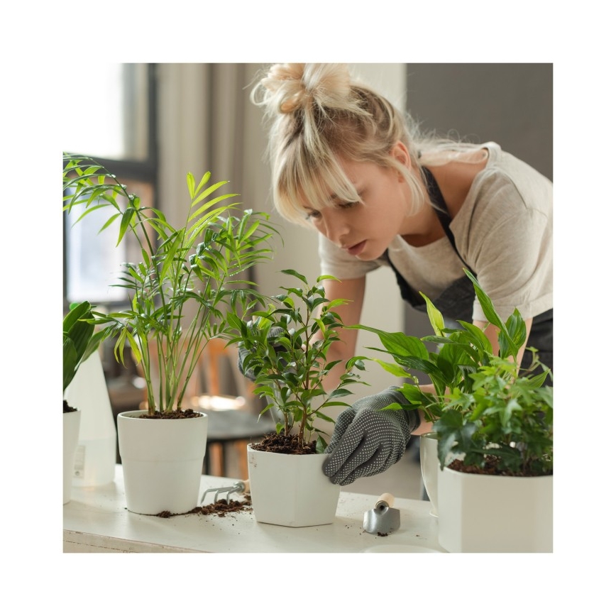 LED dimbare tafellamp voor het kweken van planten VERDI LED/12W/230V 4500K CRI 95 wit