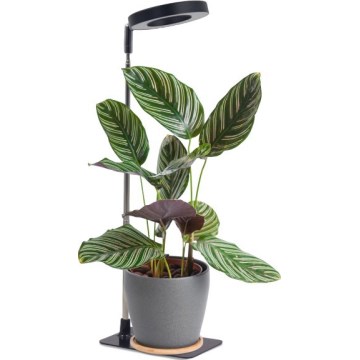 Dimbare LED-tafellamp voor het kweken van planten VERDI LED/5W/5V 1300K CRI 95 zwart