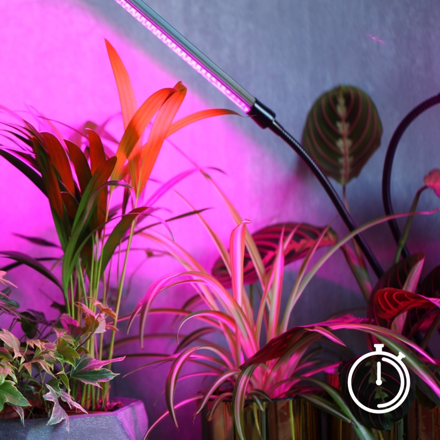 LED Dimbaar flexible tafellamp voor het kweken van planten VITARO 3xLED/10W/230V zwart