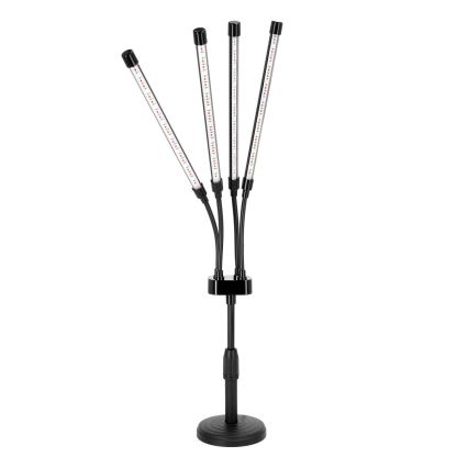 LED Dimbaar flexibel tafellamp voor het kweken van planten VITARO 4xLED/10W/230V zwart
