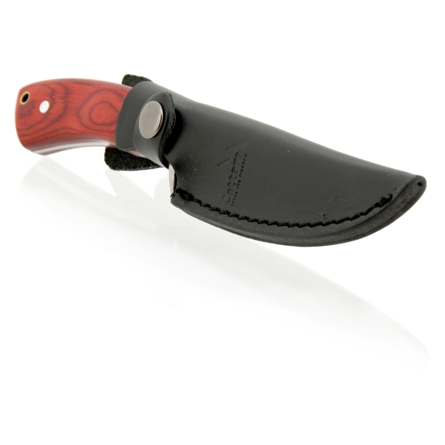 Dolk met leren schede 21 cm