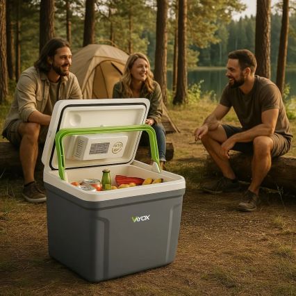 Draagbaar autokoelkast met verwarmingsfunctie 27 l 230V/12V/24V grijs