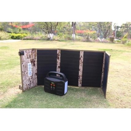 Draagbaar laadstation 42000mAh