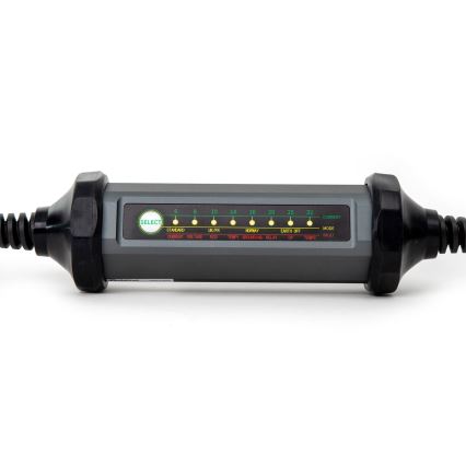 Draagbare oplader voor elektrische auto's met 4 Type 2 adapters 32A/480V 22kW 5m IP67