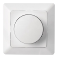 Draaibare triac dimmer 110W/230V