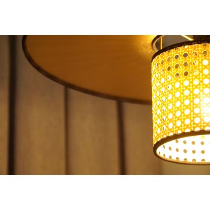 Duolla - Bevestigde hanglamp TOKYO RATTAN 1xE27/15W/230V diameter 50 cm goud/rotan