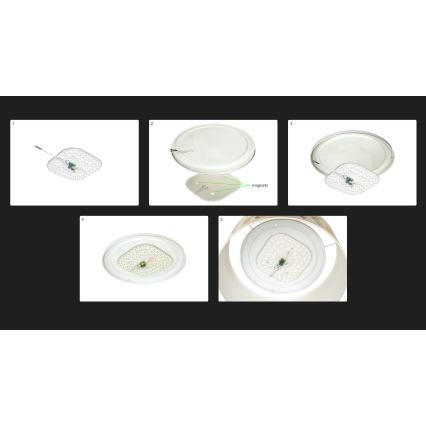 Duolla - LED Plafondlamp CORTINA LED/26W/230V diameter 30 cm 4000K groen