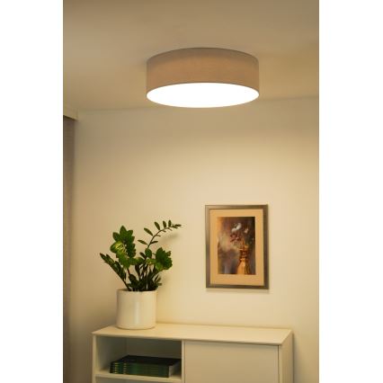 Duolla - LED Plafondlamp CORTINA LED/26W/230V diameter 45 cm 4000K grijs