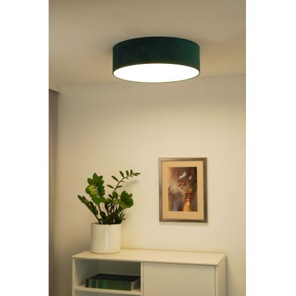 Duolla - LED Plafondlamp CORTINA LED/26W/230V Ø 30 cm 4000K groen