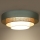 Duolla - LED Plafondlamp LUNETA LED/26W/230V diameter 60 cm 4000K turquoise/beige/crème