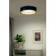 Duolla - LED Plafondlamp ROLLER LED/24W/230V blauw/goud