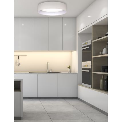 Duolla - LED Plafondlamp ROLLER LED/24W/230V diameter 45 cm crème