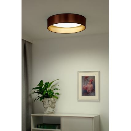 Duolla - LED Plafondlamp ROLLER LED/24W/230V diameter 45 cm koper/goud