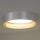 Duolla - LED Plafondlamp ROLLER LED/24W/230V diameter 45 cm zilver/goud