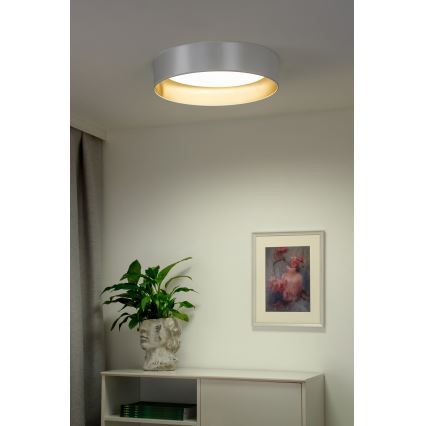 Duolla - LED Plafondlamp ROLLER LED/24W/230V diameter 45 cm zilver/goud